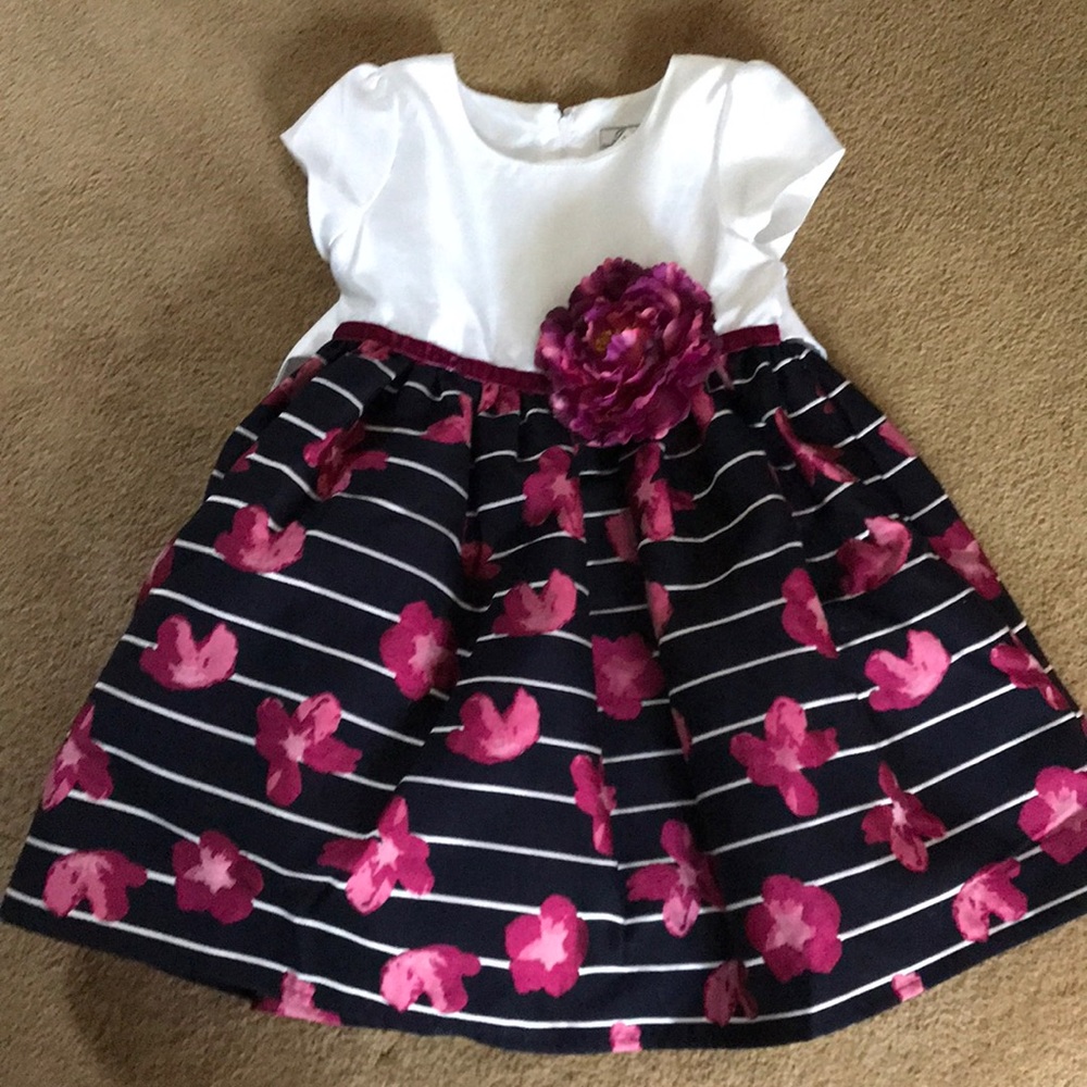 Fancy little girls dress